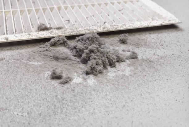 Best Air Duct Cleaning Cost  in Bulverde, TX