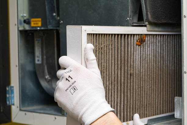 Best Local Air Duct Cleaning Services  in Bulverde, TX