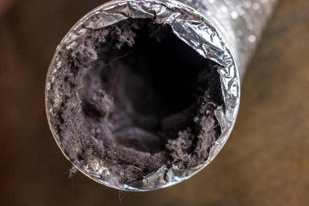Best Air Duct Cleaning Near Me  in Bulverde, TX